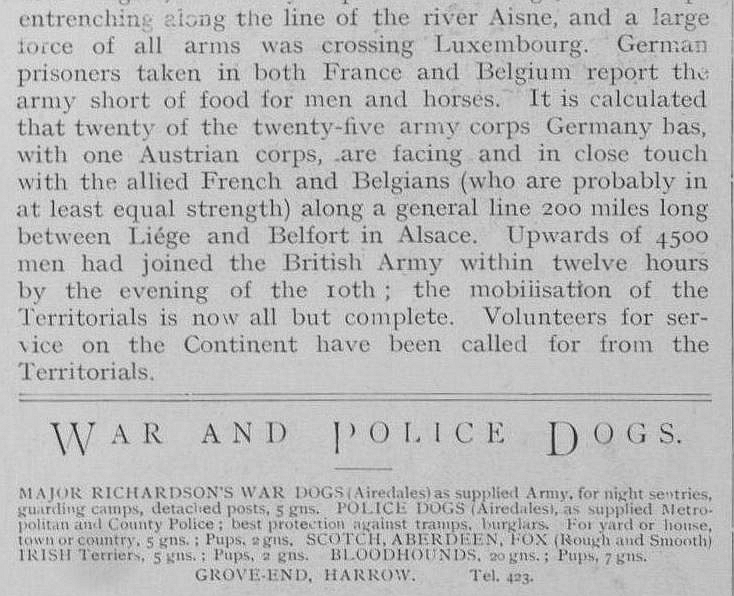 1914 1st week of the war text 4